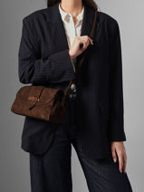 Shoulder Bag M Agnes Suede Leather Etrier Brown agnes EAGV205M-vue-porte