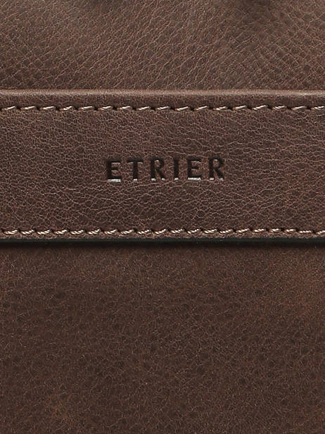 Crossbody Bag Spider Etrier Brown spider ESPI728S other view 5