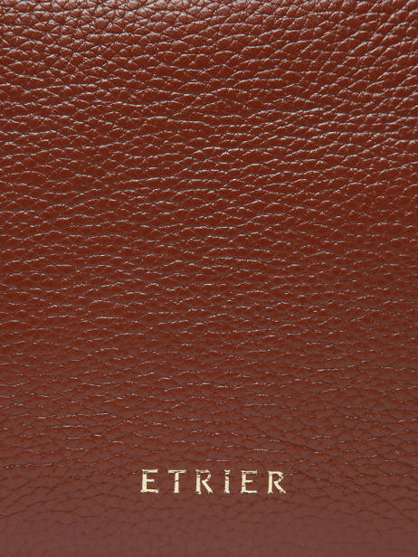 Backpack Tradition Leather Etrier Brown tradition ETRAB37S other view 5